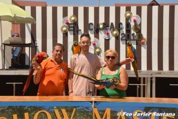 Espectáculo de aves exóticas de Paco Pluma en El Caracol (Foto Francisco Javier Santana)